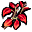 Rotes Kraut Rotes Kraut
