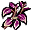 Violettes Kraut Violettes Kraut