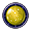 Golden-Dragon