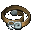 Leinengürtel+0