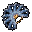 Frost-Fächer(K)