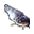 Wels