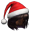 Weihnachtsmütze(W)[30T]